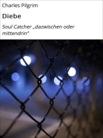 Diebe: Soul Catcher "dazwischen oder mittendrin"