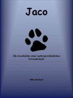 Jaco: Die Geschichte einer außergewöhnlichen Freundschaft.