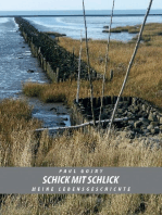 Schick mit Schlick - Meine Lebensgeschichte - Buch II