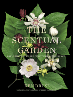 The Scentual Garden: Exploring the World of Botanical Fragrance