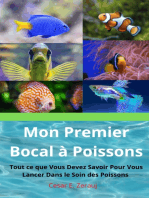 Mon Premier Bocal à Poissons: Tout ce que Vous Devez Savoir Pour Vous Lancer Dans le Soin des Poissons