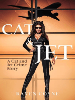 Cat and Jet