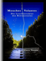 Mouches Volantes: Die Leuchtstruktur des Bewusstseins