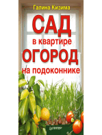 Сад в квартире, огород на подоконнике