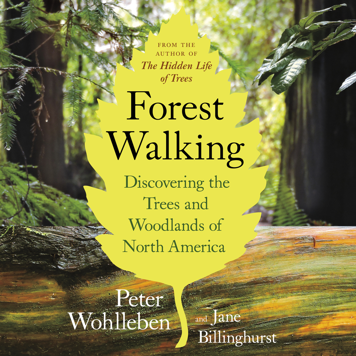 Forest Walking by Peter Wohlleben, Jane Billinghurst (Ebook