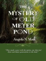 The Mystery of Old Meyer Pond
