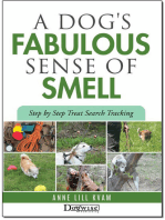 A Dog's Fabulous Sense Of Smell