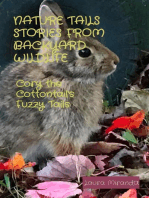 NATURE TAILS STORIES FROM BACKYARD WILDLIFE: Cory the Cottontail's Fuzzy Tails