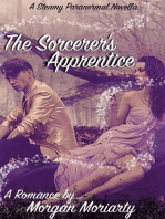 The Sorcerer's Apprentice: A Fantasy Romance Novella