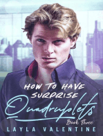 How To Have Surprise Quadruplets (Book Three): How To Have Surprise Quadruplets, #3