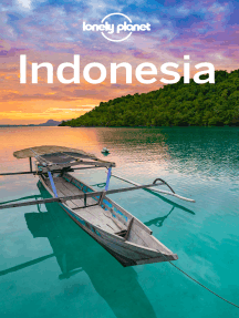 Lonely Planet - Java Sumatra Islands / Indonesia