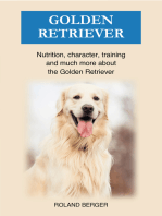 Golden Retriever: Nutrition, character, training and much more about the Golden Retriever