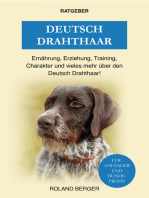 Deutsch Drahthaar: Charakter, Training, Ernährung, Erziehung und mehr über den Deutsch Drahthaar