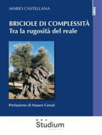 Briciole di complessità: Tra la rugosità del reale