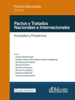 Pactos y Tratados Nacionales e Internacionales: Actualidad y Perspectiva