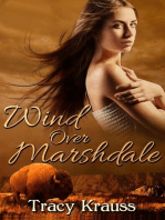 Wind Over Marshdale: Marshdale, #1