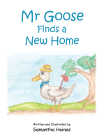 Mr Goose Finds a New Home