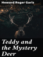 Teddy and the Mystery Deer