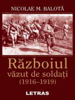 Razboiul Vazut De Soldati (1916-1919)