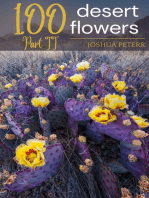 100 Desert Flowers Part II