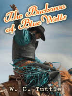 The Buckaroo of Blue Wells