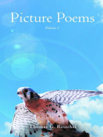 Picture Poems