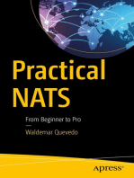Practical NATS: From Beginner to Pro