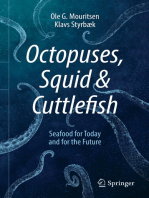 Octopuses, Squid & Cuttlefish