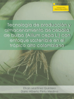 Tecnología de producción y almacenamiento de cebolla de bulbo (Allium cepa L.)