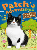 Patch's Adventures: Patch the Lucky Kitten