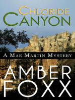 Chloride Canyon: Mae Martin Mysteries, #8