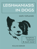 Leishmaniasis: Leishmaniasis in dogs simply explained - Symptoms, treatment and much more!