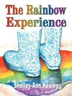 The Rainbow Experience