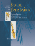 Brachial Plexus Lesions: Drawings of Explorations and Reconstructions by Algimantas Otonas Narakas