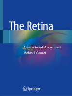 The Retina: A Guide to Self-Assessment