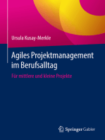 Agiles Projektmanagement im Berufsalltag: Für mittlere und kleine Projekte