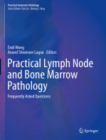 Practical Lymph Node and Bone Marrow Pathology: Frequently Asked Questions