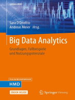 Big Data Analytics: Grundlagen, Fallbeispiele und Nutzungspotenziale
