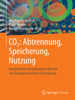CO2: Abtrennung, Speicherung, Nutzung: Ganzheitliche Bewertung im Bereich von Energiewirtschaft und Industrie