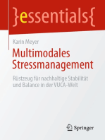 Multimodales Stressmanagement: Rüstzeug für nachhaltige Stabilität und Balance in der VUCA-Welt