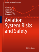 Aviation System Risks and Safety