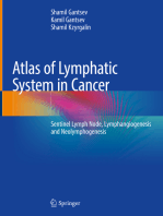 Atlas of Lymphatic System in Cancer: Sentinel Lymph Node, Lymphangiogenesis and Neolymphogenesis