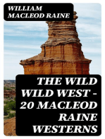 The Wild Wild West - 20 MacLeod Raine Westerns