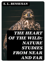 The Heart of the Wild: Nature Studies from Near and Far