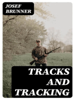 Tracks and Tracking