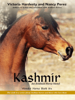 Kashmir: An Arabian Horse Novel