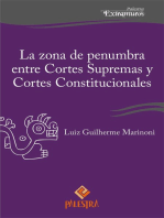 La zona de penumbra entre Cortes Supremas y Cortes Constitucionales