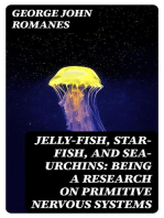 Jelly-Fish, Star-Fish, and Sea-Urchins