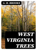 West Virginia Trees