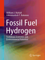 Fossil Fuel Hydrogen: Technical, Economic and Environmental Potential
